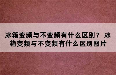 冰箱变频与不变频有什么区别？ 冰箱变频与不变频有什么区别图片